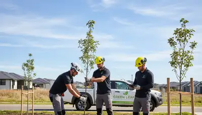 Arborist planting native tree in residential yard, New Port Richey FL tree planting service